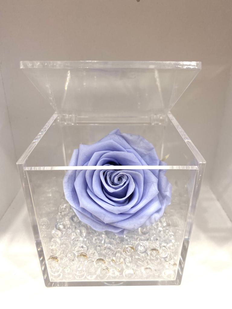 Rosa Stabilizzata Blu 8x8 cm Cubo in Vetro Con Confezione Regalo Festa Mamma